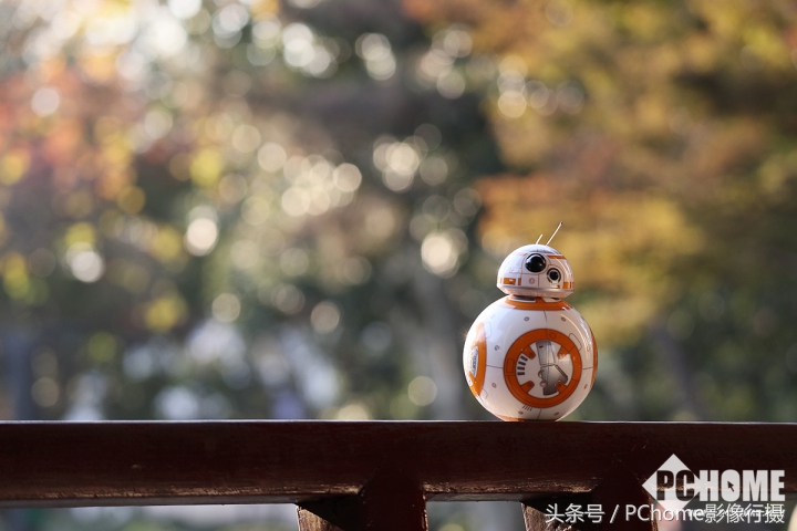 值得入手的数码相机平价佳能,佳能相机测评今年