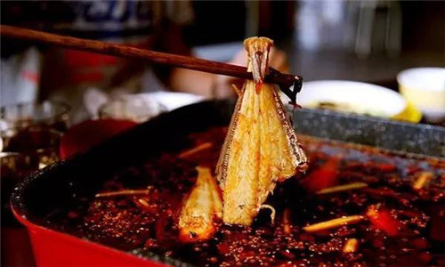 川渝地区的耗儿鱼,四川最好的无头鱼