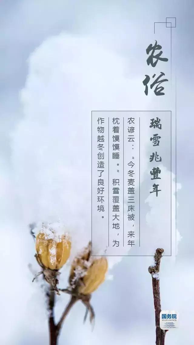 一张图上包含二十四节气壁纸,高清中国插画二十四节气壁纸