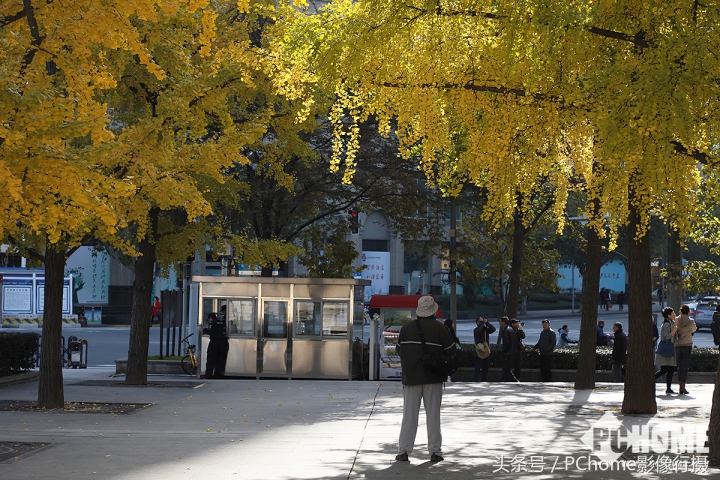 值得入手的数码相机平价佳能,佳能相机测评今年