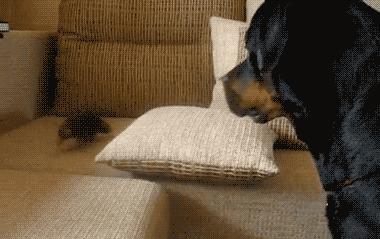 姣忔棩绗戞姤鐖嗙瑧璇綍,姣忔棩绗戞姤2014