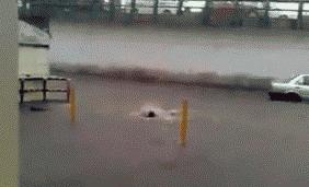 2017女生最WU标准表，快看看你到几级了？