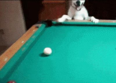 姣忔棩绗戞姤鐖嗙瑧璇綍,姣忔棩绗戞姤2014