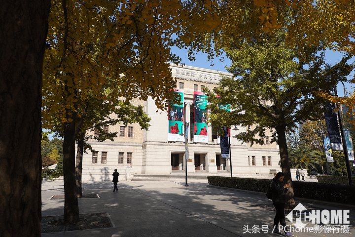 值得入手的数码相机平价佳能,佳能相机测评今年