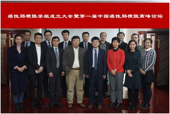 消化道癌高峰论坛,癌性肠梗阻