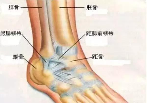 脚扭伤了是先冰敷还是先擦红花油,脚扭伤了擦什么药恢复最快