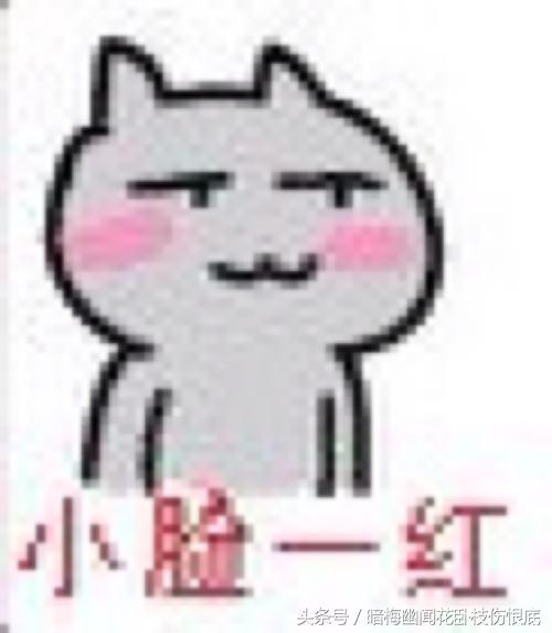 铁甲小宝小百合被蜻蜓队长关起来,铁甲小宝的小百合扮演者叫什么