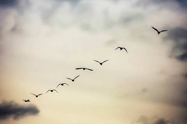 下元节为什么被遗忘了,下元节怎么被遗忘的