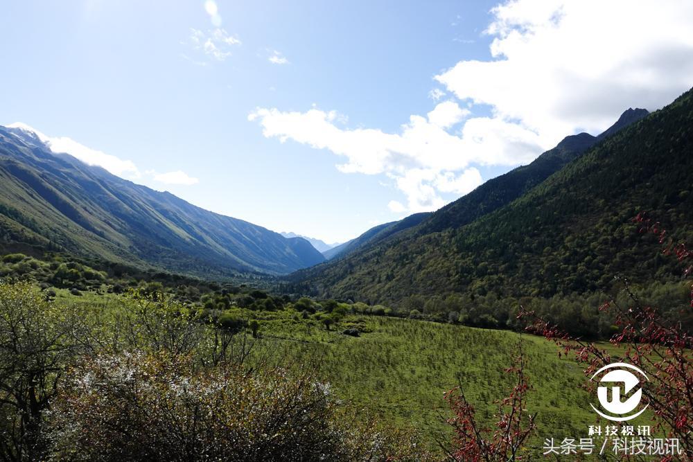 索尼黑卡一镜走天下哪个强,索尼黑卡rx10iv相机怎么样