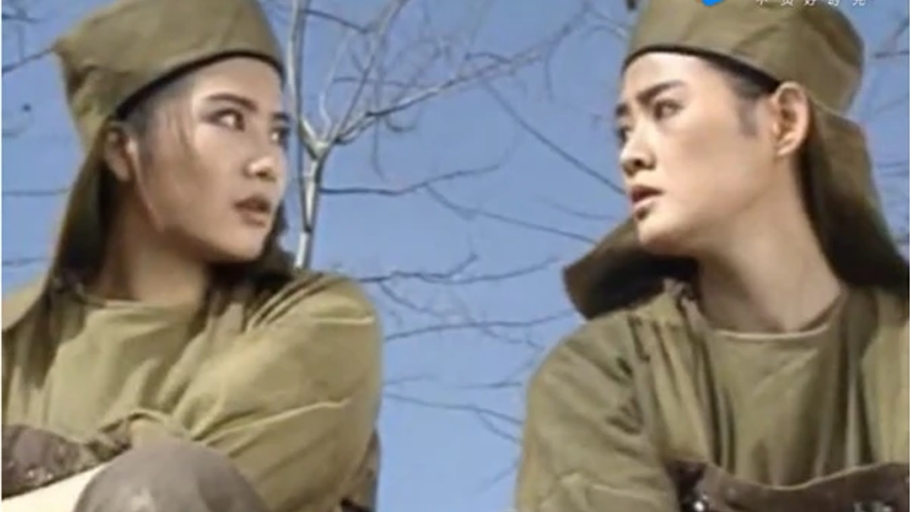 刘亦菲被选花木兰的原因,刘亦菲花木兰投票视频