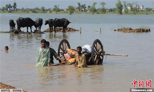 5月全球极端天气气候事件梳理,2023年全球大事件三分钟回顾