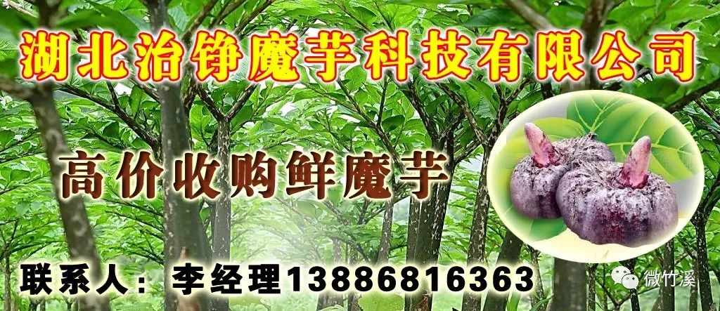 微宣讲抓落实,如何在见微知著中抓工作落实
