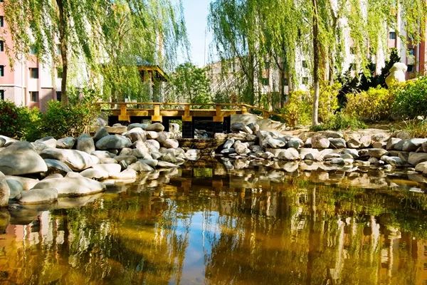 初印象认识自己,初印象英文