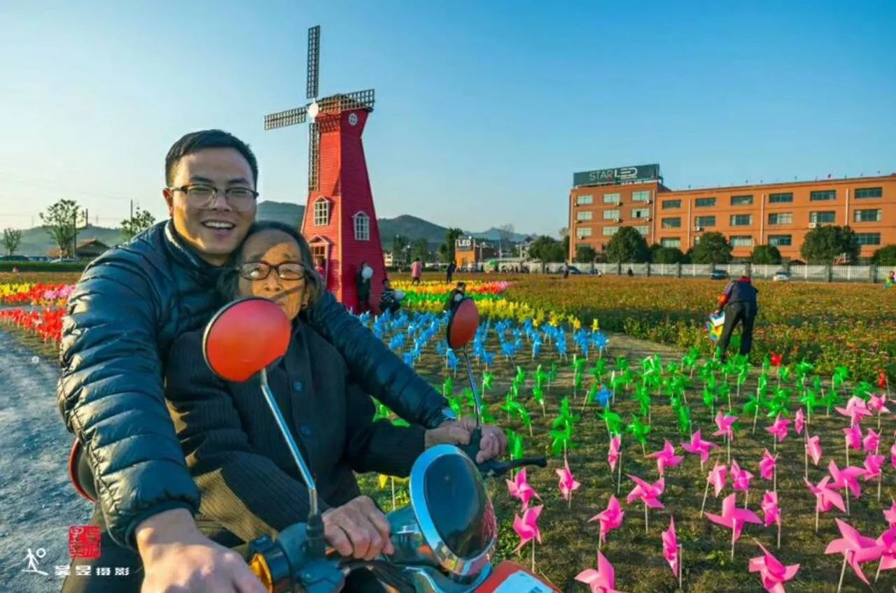 富阳金沙岛花海,富阳花海网红景点
