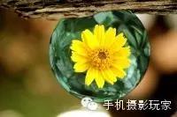 中国手机摄影图片大赛,爱微图