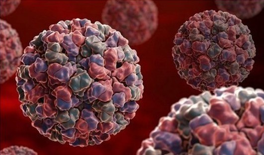 孩子先天智力缺陷是什么病,孩子先天缺陷可以治好吗