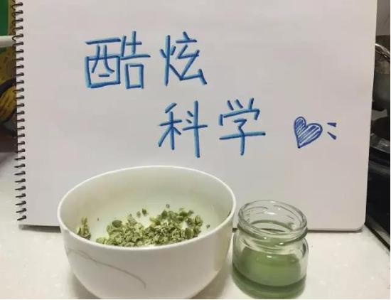 将南瓜子稍加“调教”不可思议的一幕发生了！