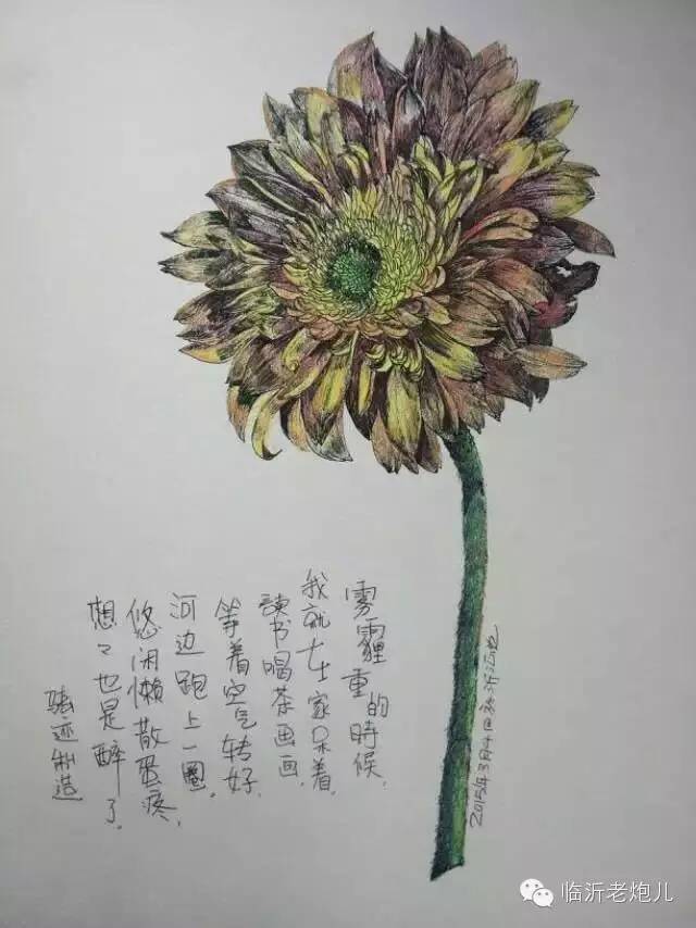 带上手鼓去旅行,带着旅行箱去旅行绘画