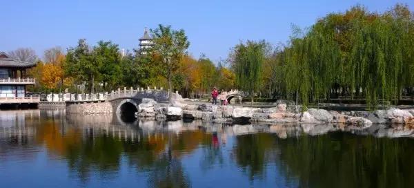 天津最值得去的公园排名榜前十,天津津南区值得游玩的公园