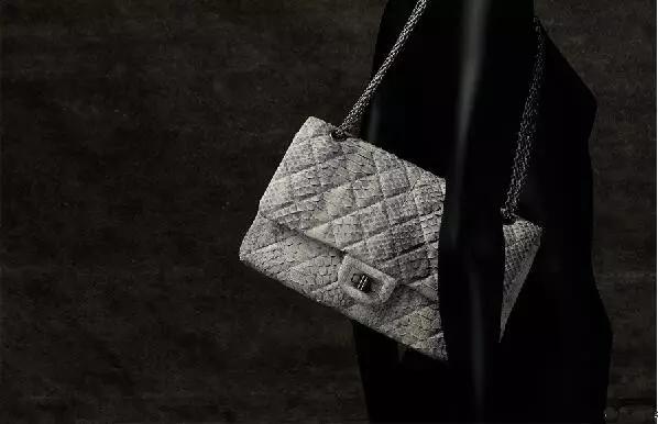 妈蛋世界不安全,姐要变女侠了!