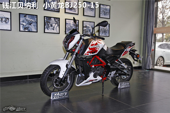 全民跑山时代的入门利器——两款250级别的合资街车