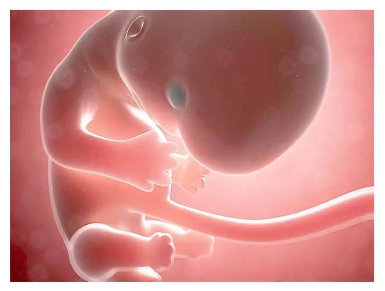 孕期流血不要怕,先兆流产出血一般多久说明流产了