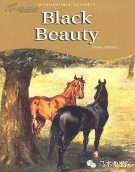 黑骏马我的故乡蒙语,黑骏马我是蒙古人