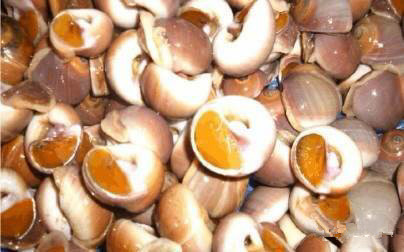 那些不认识的海鲜小干货,超级干货2022