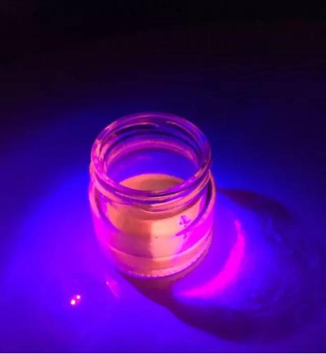 将南瓜子稍加“调教”不可思议的一幕发生了！