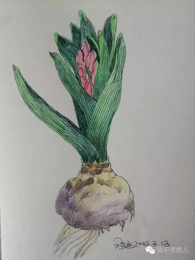 带着书本去旅行绘画,带着旅行箱去旅行绘画