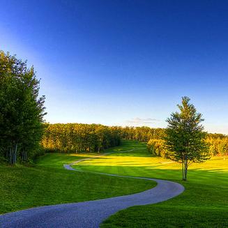 网上购车实体店提车有费用吗,购车网上下单