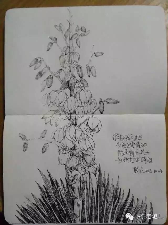 带着书本去旅行绘画,带着旅行箱去旅行绘画