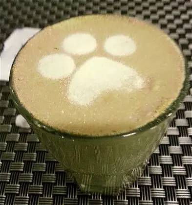 宋仲基欧巴来哈尔滨必去的6家咖啡厅，第3家居然是.....