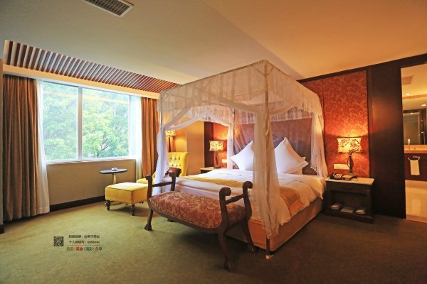 有一种春天叫牡丹花开,有一种春天叫花开艳丽