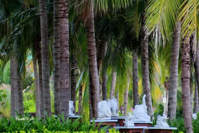 三亚最美的夕阳日落,夕阳的落下