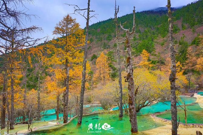 鍛宠暰娴佽繛蹇樿繑,鍛宠暰鐣欐亱