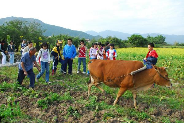 清明临近天气预报,天气预报距离五一小长假仅剩2天