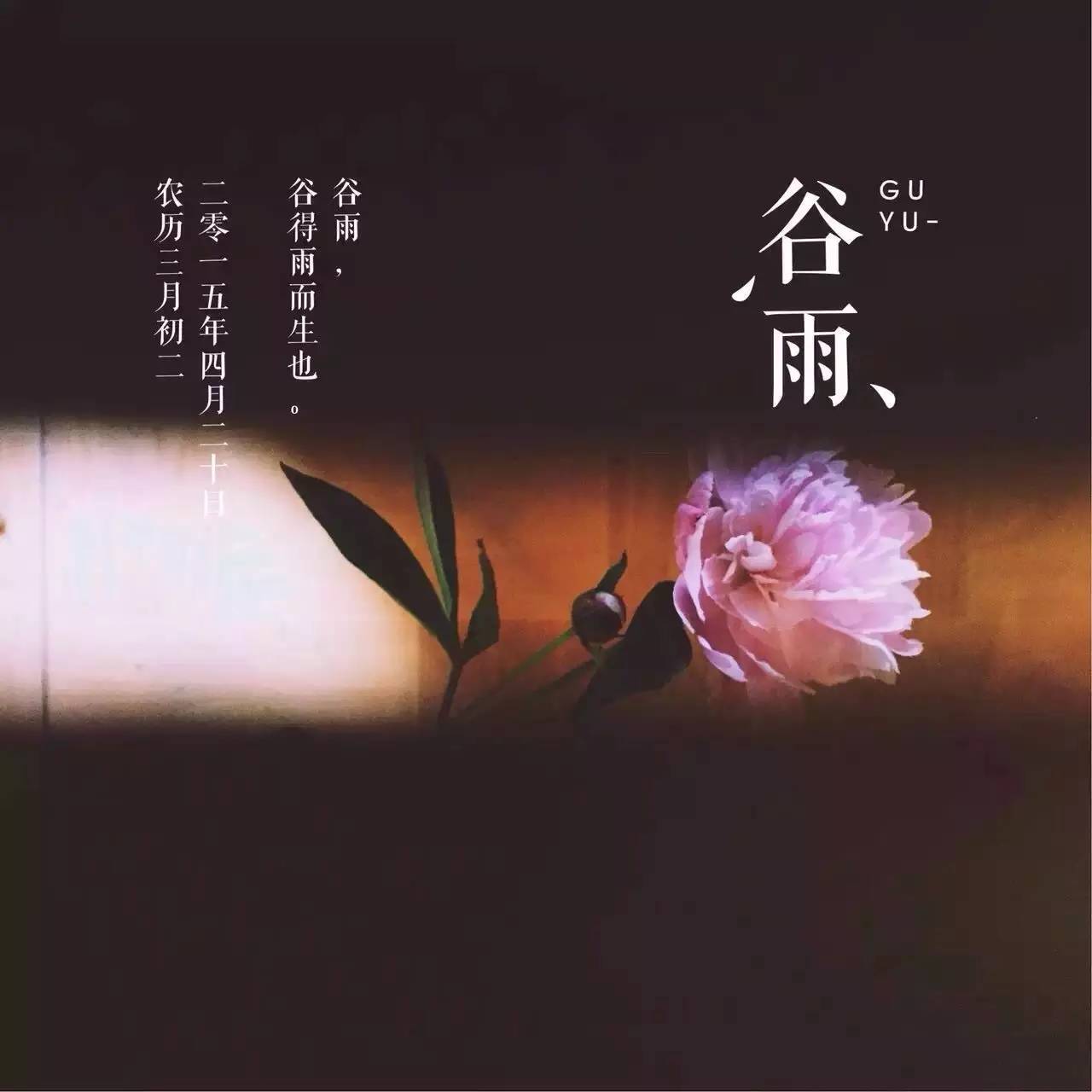 她把眼前的寻常，变成了诗和远方