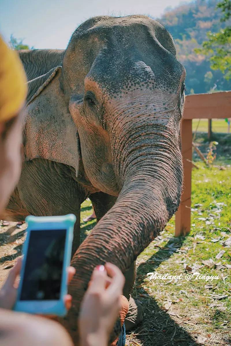 旅游攻略泰国免费,攻略带你了解最美的泰国景点