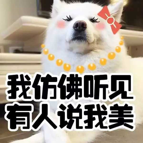 闆鹃潰骞充环瀛︾敓涓濈粧鍞囬噳,瀛︾敓骞充环绉嬪啲鍞囬噳鎺ㄨ崘