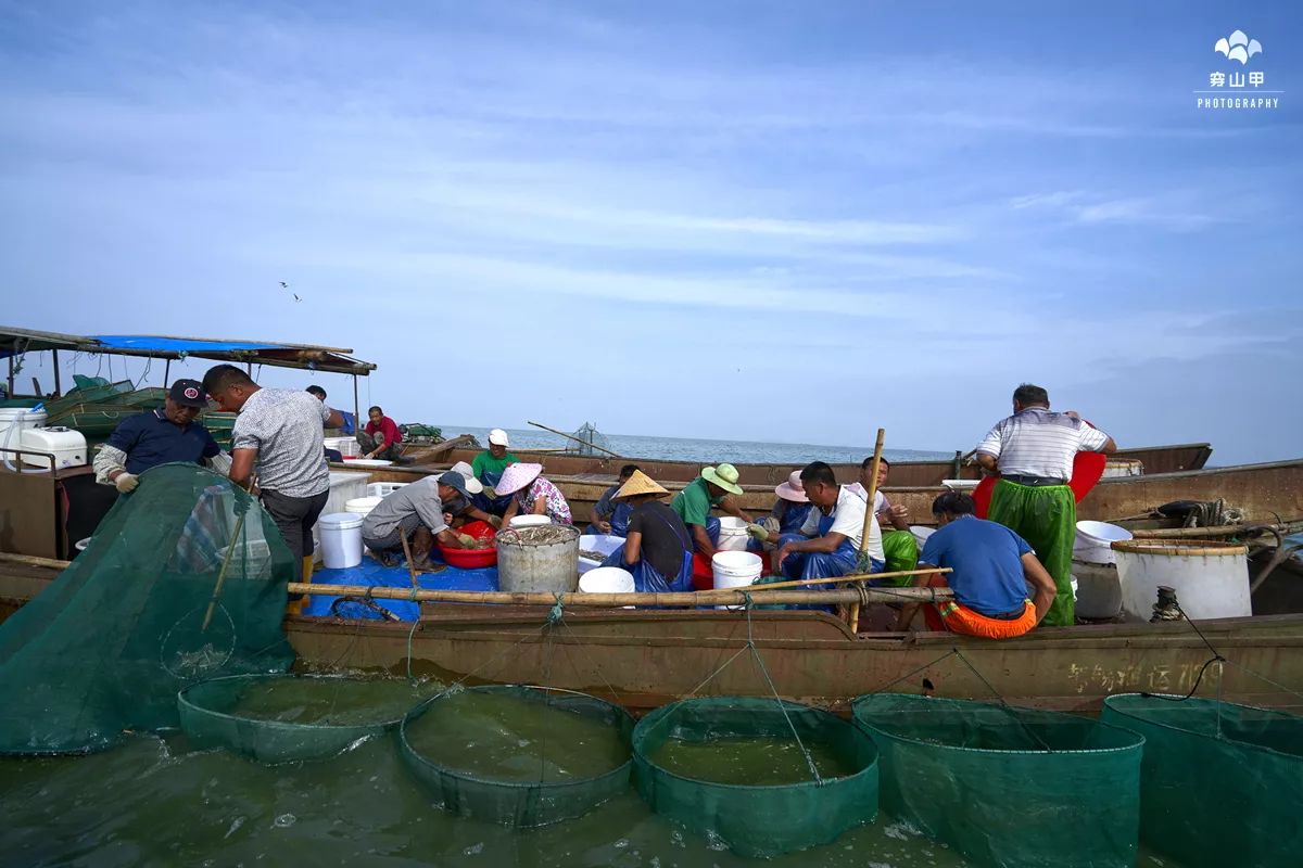 江苏省太湖一座小岛,太湖两个小岛