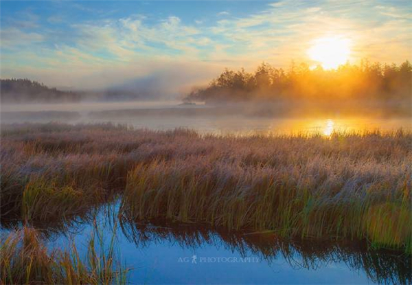 大兴安岭美丽风光,大兴安岭之美