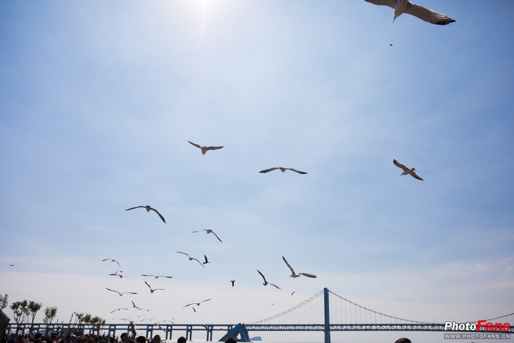 带上跑鞋去旅行,带着马去旅游的车