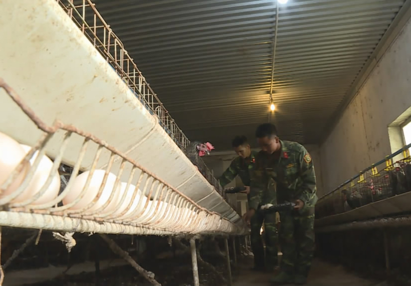 吃咋样？丰盛，健康，营养。舌尖上的保障，越南*队军**做得到，为啥