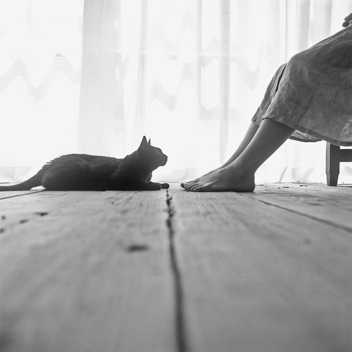 黑白照片的图,黑白图片两张