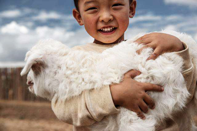 大衣的面料主要包括哪些呢,大衣服装面料基础知识