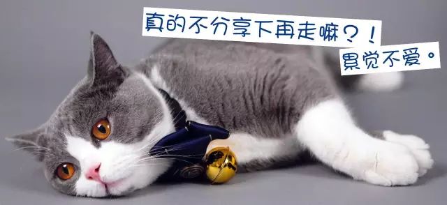 买不起的毛线球,8万7的tiffany毛线球