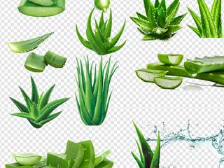 长痘的人到底有多惨如何正确祛痘,祛痘痘最好最实际的方法