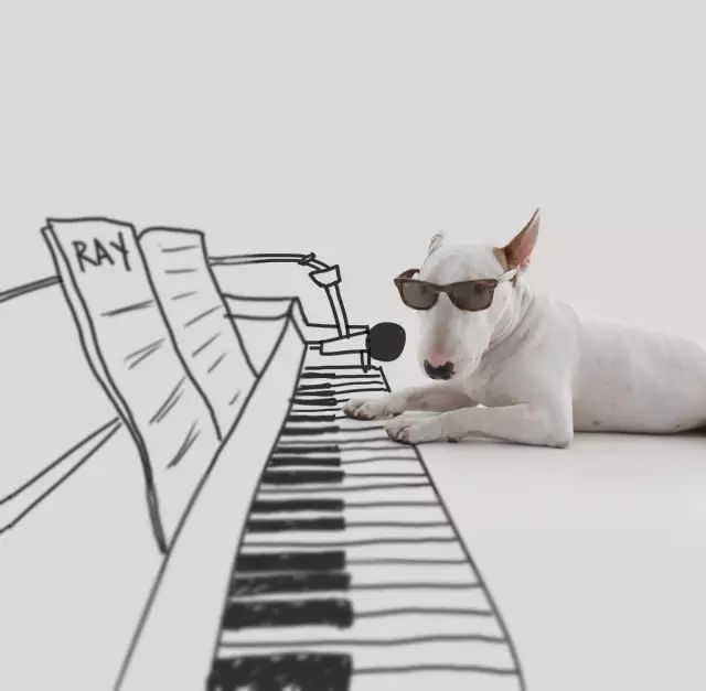 傲娇的老佛爷也要每天看Ta脸色