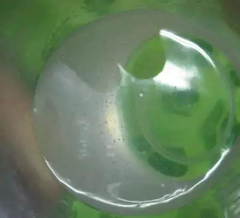 怎么把鲜花做成标本不会枯萎,透明树脂胶怎么制作鲜花标本